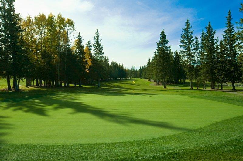Mountain View Inn & Suites Sundre Luaran gambar